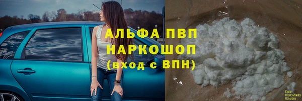 spice Козельск