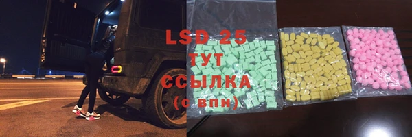 стаф Козловка