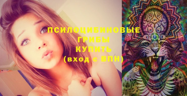 spice Козельск