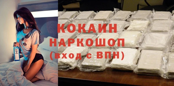 стаф Козловка