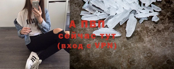 spice Козельск