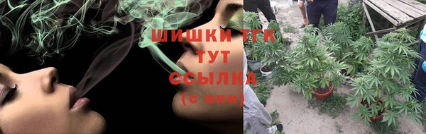 spice Козельск