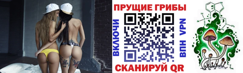 Купить  Аркадак  Галлюциногенные грибы мицелий 